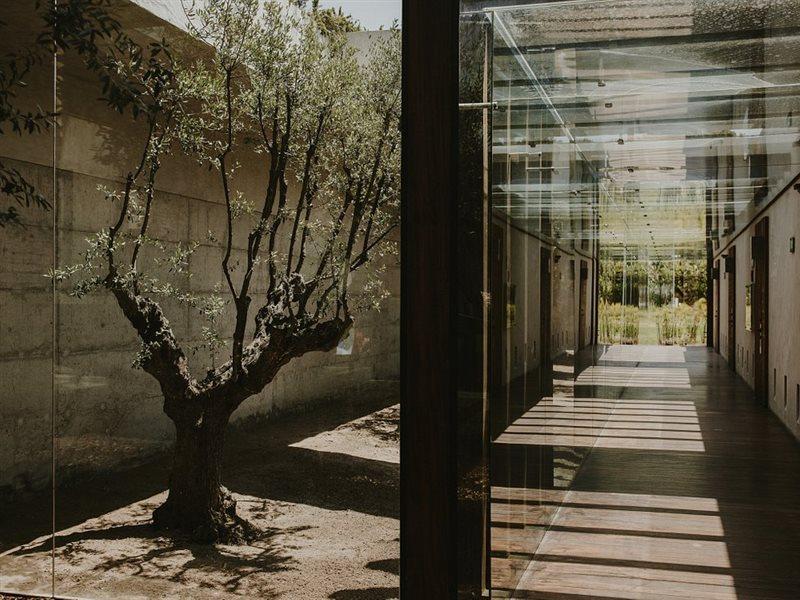 Areias Do Seixo Charm Hotel & Residences А-душ-Куня́душ Екстер'єр фото